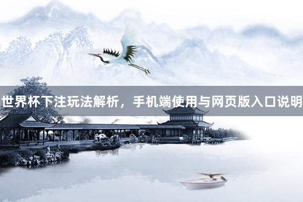 世界杯下注玩法解析，手机端使用与网页版入口说明