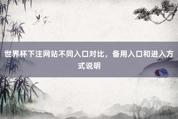 世界杯下注网站不同入口对比，备用入口和进入方式说明
